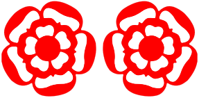 rosettes